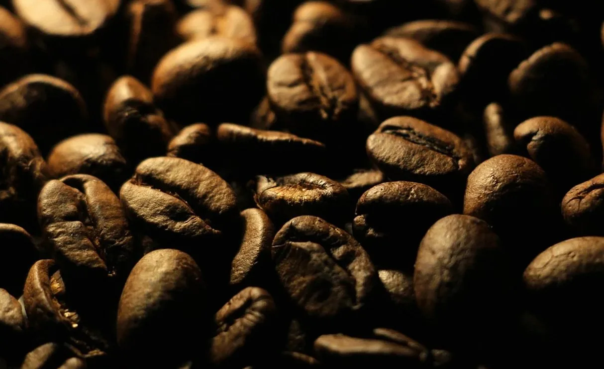Why we make croissants from scratch every morning